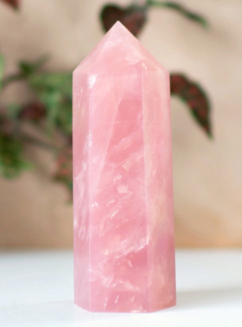 Rose Quartz Crystal Point – Wicks and Stonez