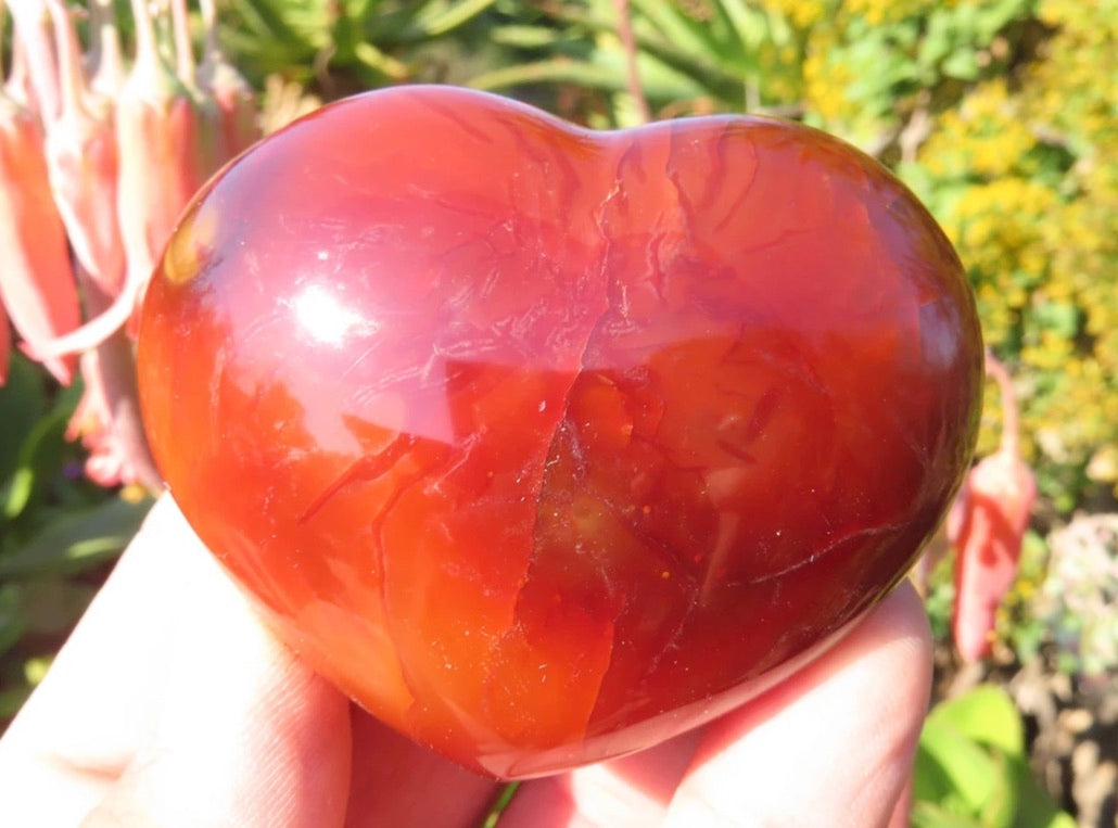 Carnelian Medium Heart Wicks and Stonez