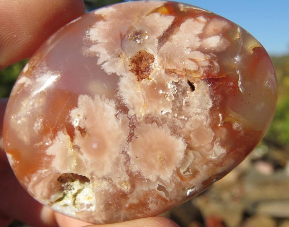 Flower Agate Palm Stones Wicks and Stonez